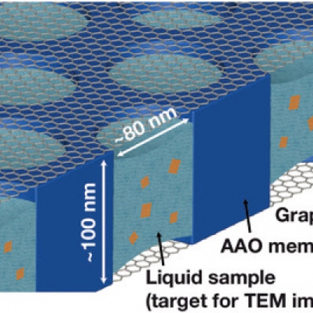 A Large‐Scale Array of Ordered Graphene‐Sandwiched Chambers for Quantitative Liquid‐Phase Transmission Electron Microscopy