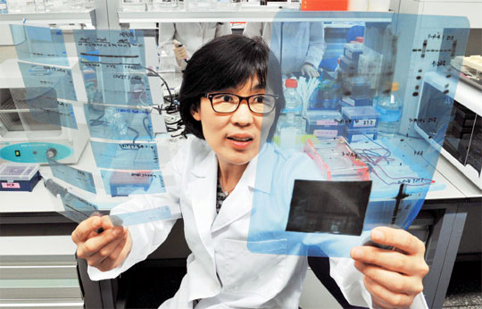 Professor Lee Ho Young is conducting research