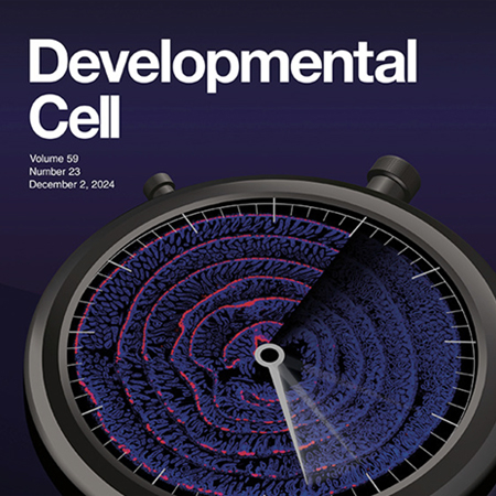 Dual function of PHF16 in reinstating homeostasis of murine intestinal epithelium after crypt regeneration