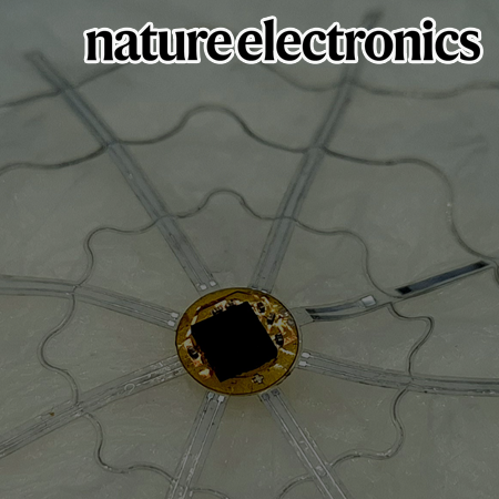 Development of Biodegradable Electronic Tent for Non-Surgical Brain Disease Diagnosis Using a Needle