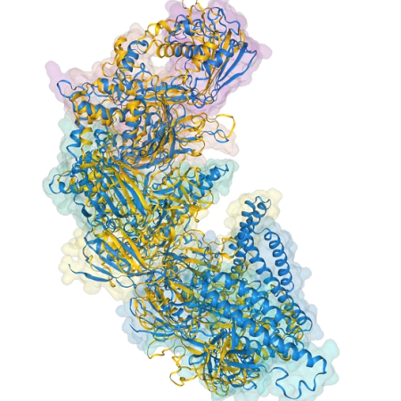 Rapid and Sensitive Protein Complex Alignment with Foldseek-Multimer