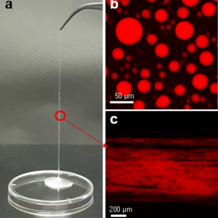 Calcium ion-triggered liquid-liquid phase separation of silk fibroin and spinning through acidification and shear stress