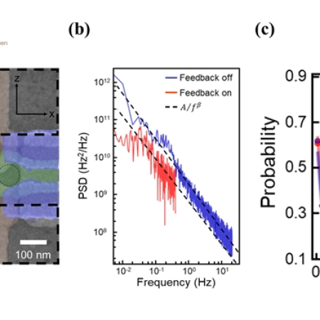 Passive and active suppression of transduced noise in silicon spin qubits