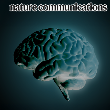 Supramodal and cross-modal representations of working memory in higher-order cortex