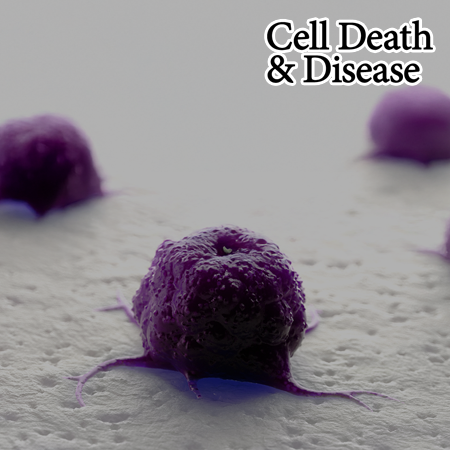 NAG-1/GDF15 as a tumor suppressor in colorectal cancer: inhibition of β-catenin and NF-κB pathways via interaction with EpCAM