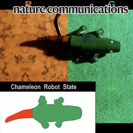 Biomimetic chameleon soft robot with artificial crypsis and disruptive coloration skin