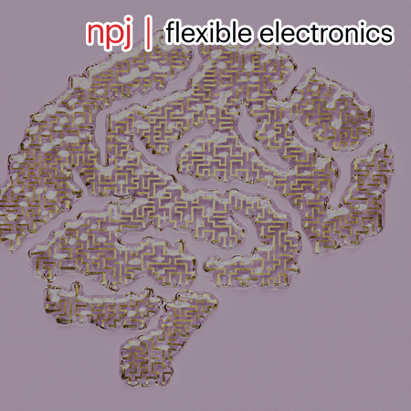 Hexagonal Metal Complex Based Mechanically Robust Transparent Ultrathin Gold µECoG for Electro-Optical Neural Interfaces