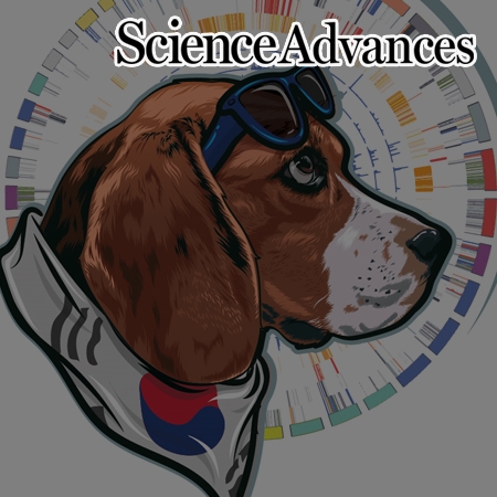 Scientists unlock the dog epigenome