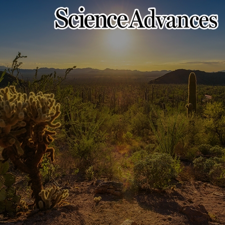 New-generation geostationary satellite reveals widespread midday depression in dryland photosynthesis during 2020 western U.S. heatwave
