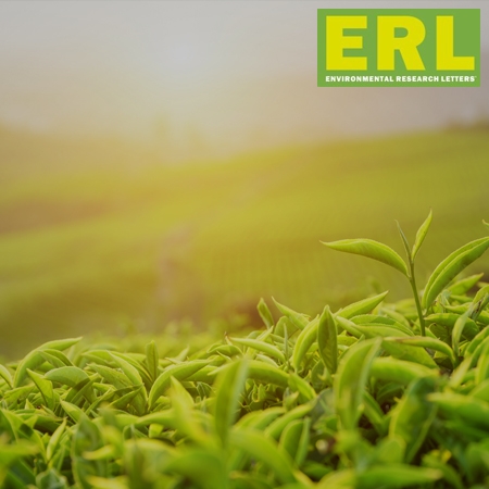 Effects of extreme temperature on China's tea production
