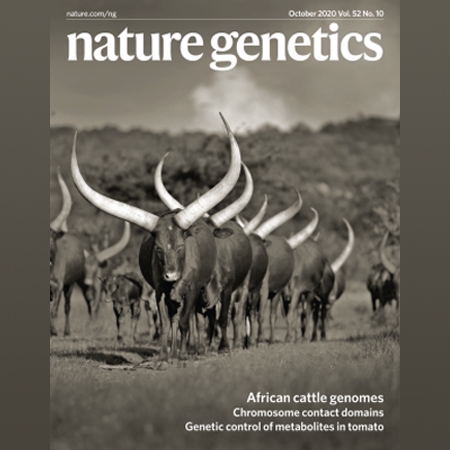 The mosaic genome of indigenous African cattle as a unique genetic resource for African pastoralism
