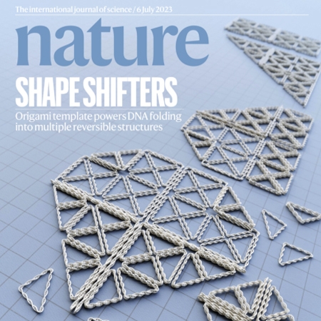 Harnessing a paper-folding mechanism for reconfigurable DNA origami