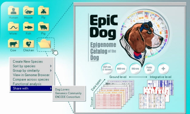 The EpiC Dog initiative.