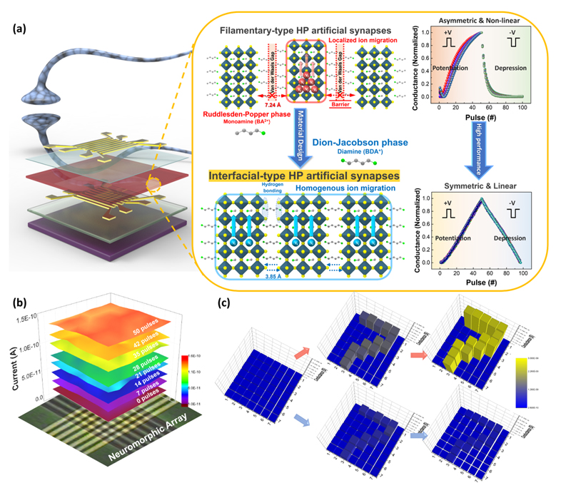 ▲ (a) Schematic of next-generation intelligent semiconductor material and device design for artificial intelligence acceleration, (b) Ultra-low power analog multi-resistive state implemented in a fabricated neuromorphic array, (c) Analog information processing and numerical image artificial intelligence learning implemented at the array level