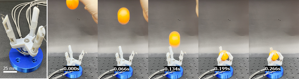 ▲ (Figure 3) Fingers made of soft, rubber-like materials can instantly catch a falling ping-pong ball.