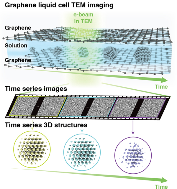 ▲ Figure 1. Method for analyzing 3D atomic structural changes in nanoparticles using the time-resolved Brownian tomography technique. Nanoparticles moving within a graphene liquid cell are imaged using transmission electron microscopy, and the captured images are reconstructed in 3D over time.