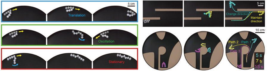 ▲ Picture 2. Movement of linkbots showing different gaits and directions depending on their link configuration.