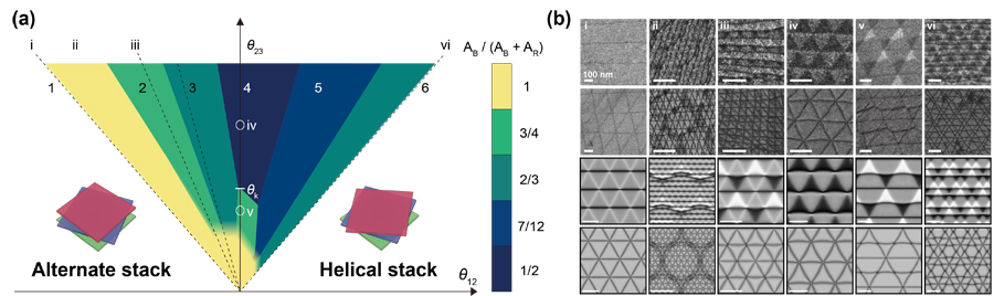 ▲ Figure 2. (a) Phase diagram of domain lattice as a function of twist angle. (b) Spontaneously formed domain lattice structure.