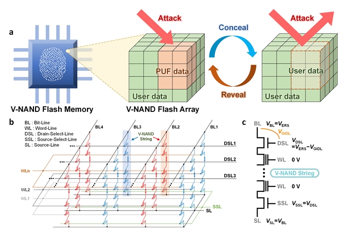 ▲ Figure 1. Concealable PUF using GIDL erase on V-NAND flash memory. (a) Schematic of the concealable PUF using V-NAND flash memory. (b) Circuit diagram of V-NAND flash memory. (c) Description of the GIDL erase method.