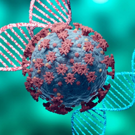SNU, IBS release study on RNA biology, therapeutics at global meet