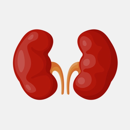 High BMI Variability, Adverse Outcomes Linked in Predialysis CKD