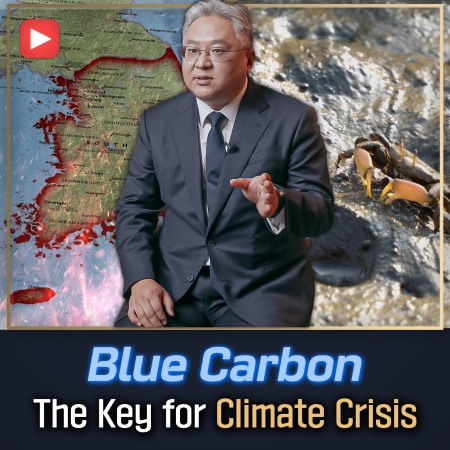 [Snu Catch] The New Blue Carbon 'Tidal Flats'