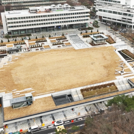 "The Grass Square," the Center of Campus, is back after 20 months