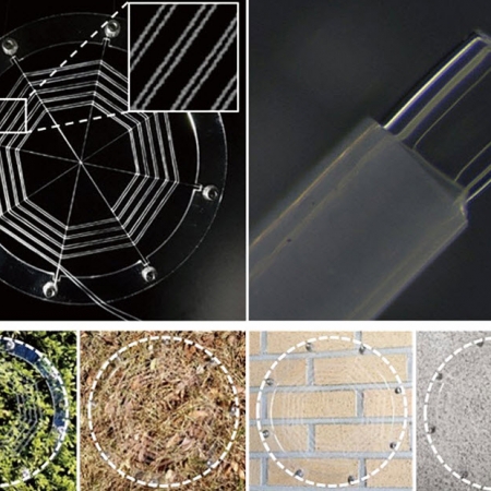 There’s a new spider in town: advancing the field of robotics with ionic spiderwebs