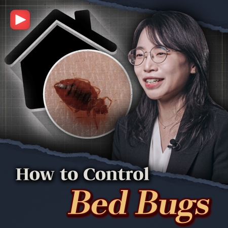 [SNU CATCH] Truth and False about Bedbugs