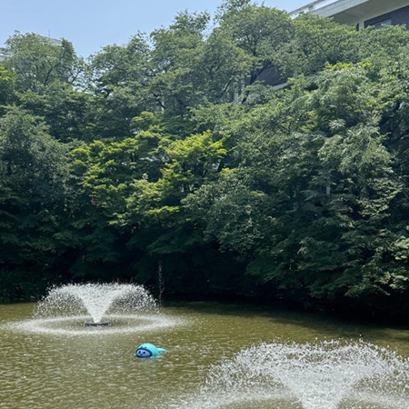 SNU IITD Demonstrates Eco-Friendly Fountain “PaDO”Fountain