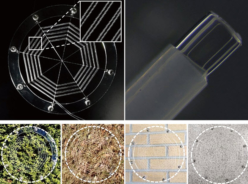 A close up view of ionic spiderwebs demonstrating their ability to camouflage themselves in a variety of environments including a forest, fallen leaves, a brick wall, and the floor of a building , courtesy of the Multi-Functional Soft Materials Lab