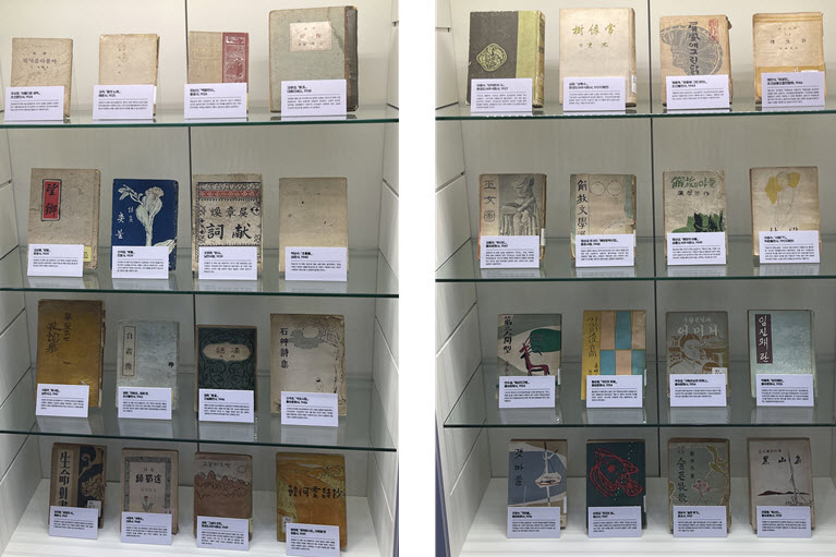 The exhibition is divided into three main categories: poetry collections, fiction collections, and literary magazines, allowing visitors to appreciate a wide range of modern literary works according to their chronological flow.